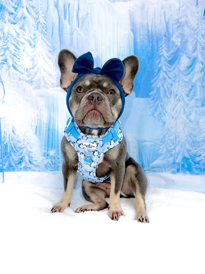 Percy Penguin Adventure Paws Harness