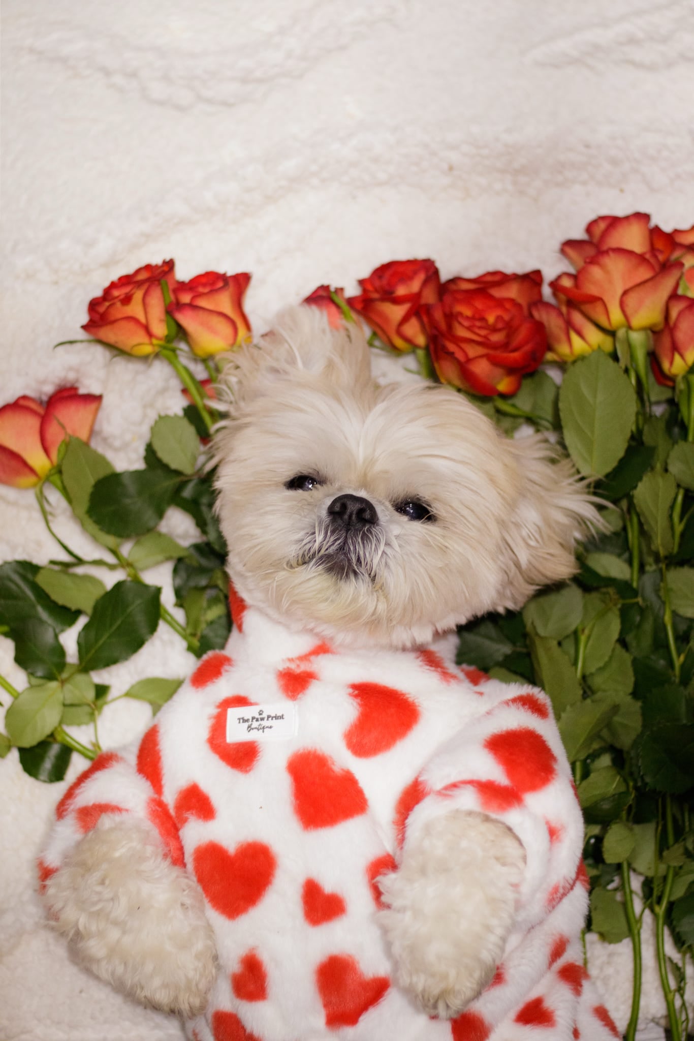 The Love Hearts Fluffy & Fabulous Fleece - Red & White