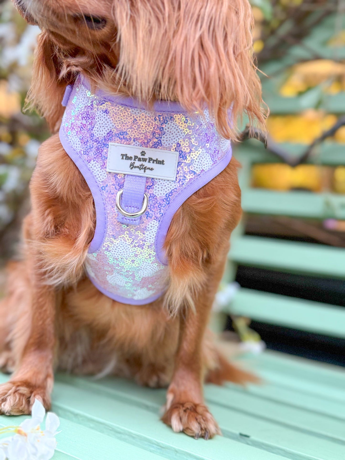 The Sassy in Sequins - Lilac Adjustable Harness