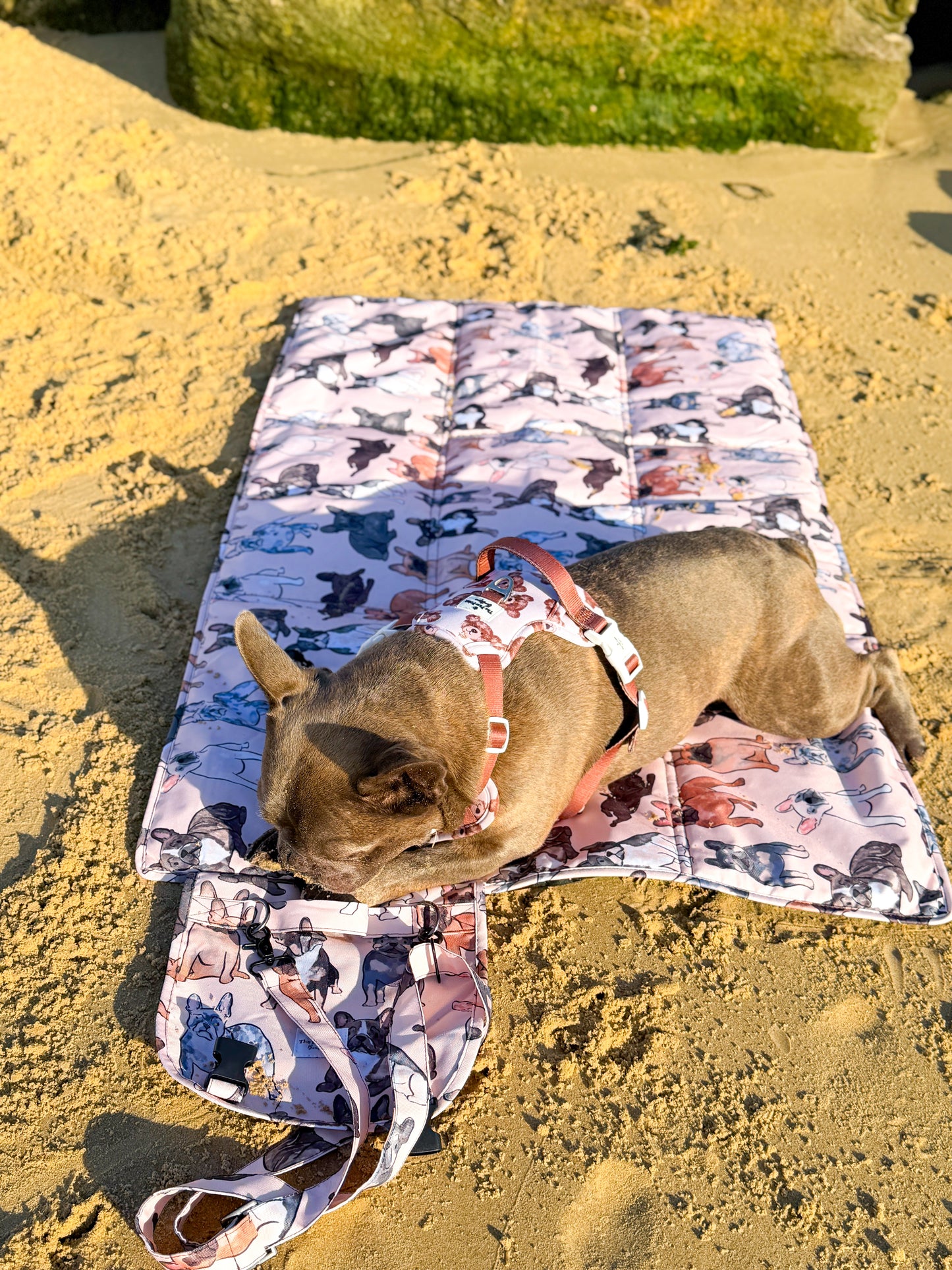 The French Bulldog Travel Mat