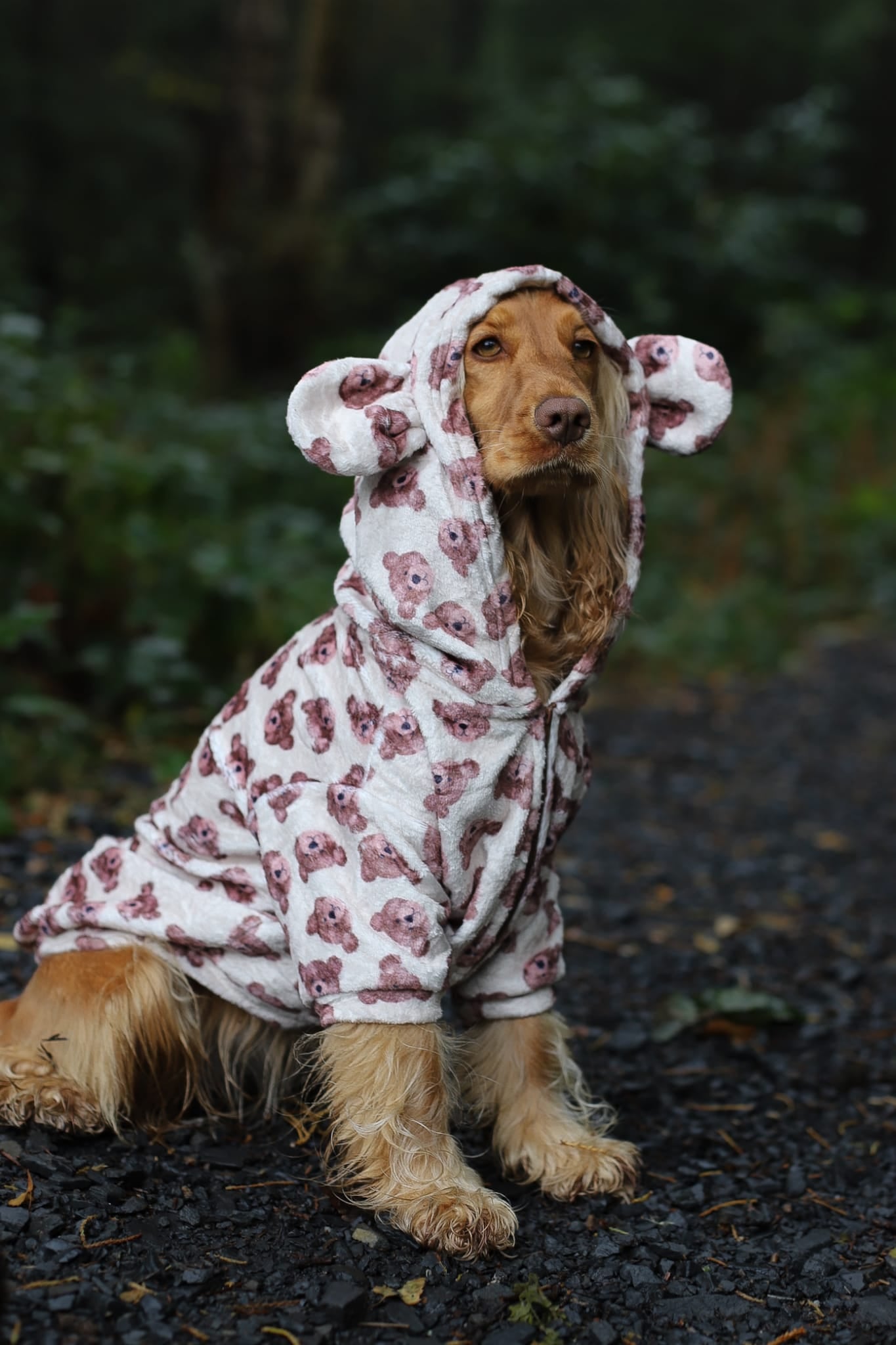 The Little Bear Cub Snuggle Fleece (With Hood & Ears)