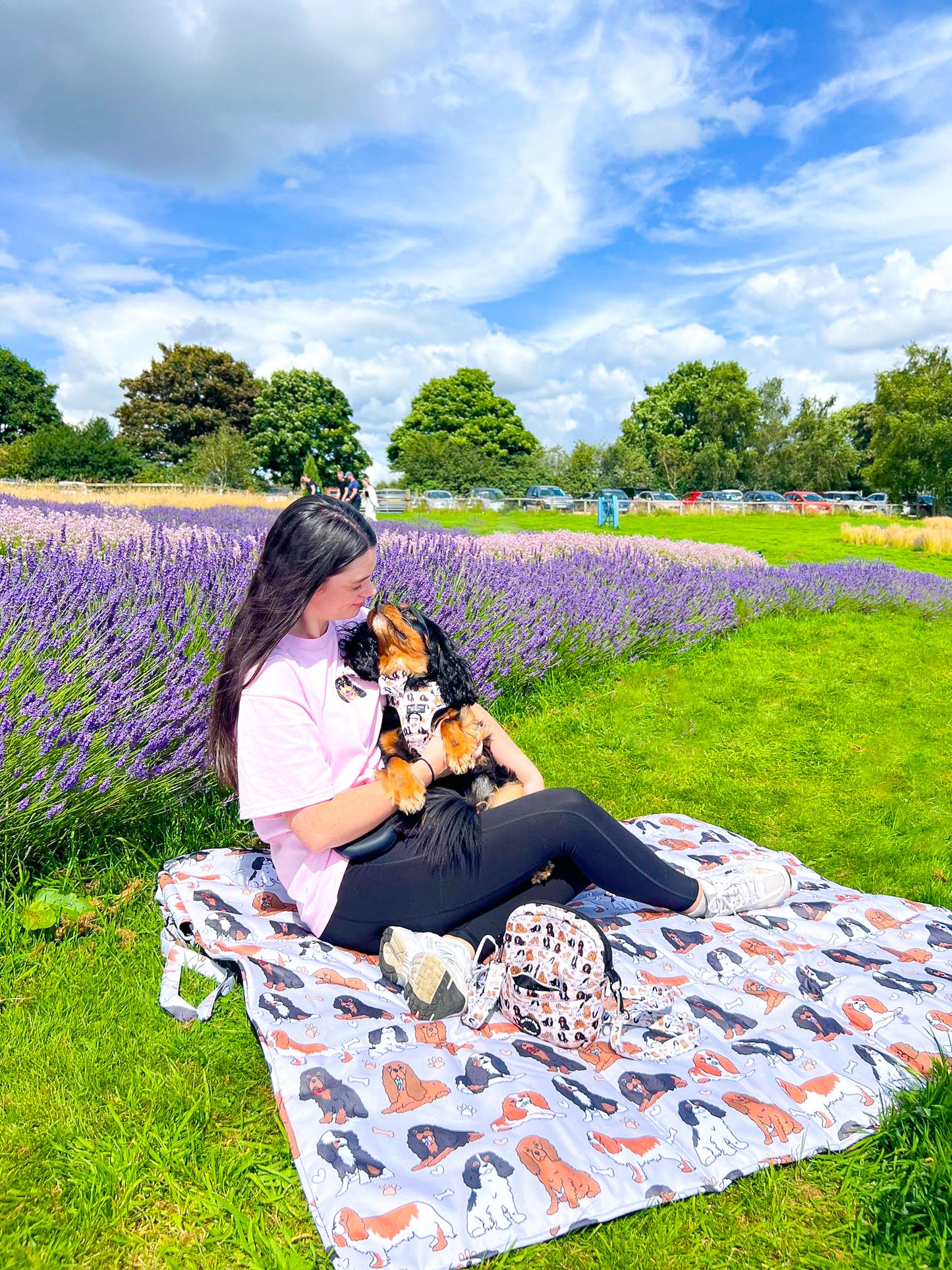 The Cavalier Picnic Mat