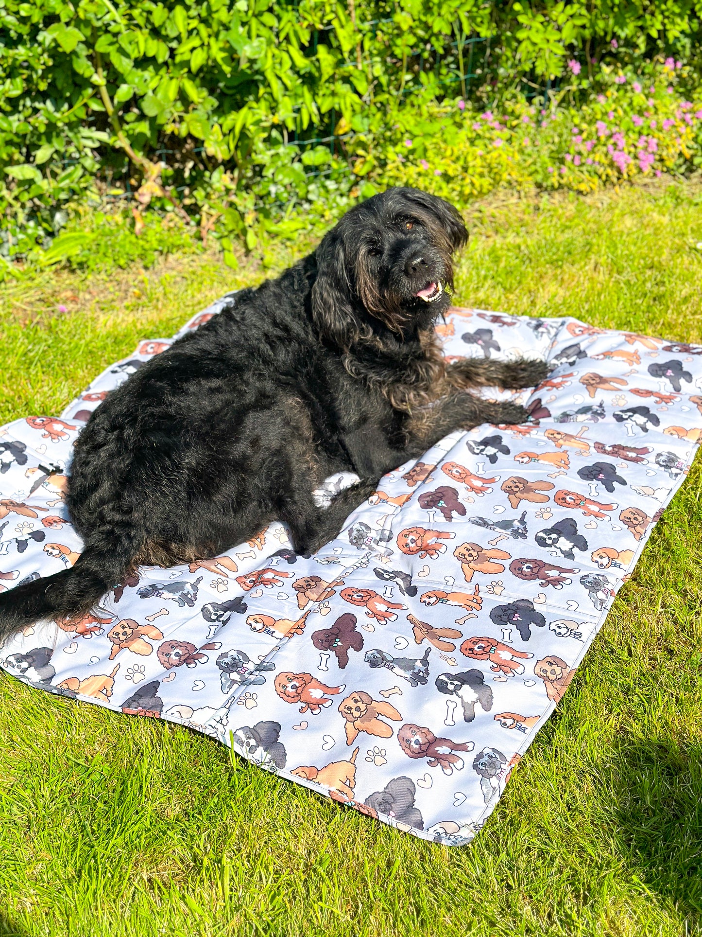 The Poodle/Doodle Picnic Mat