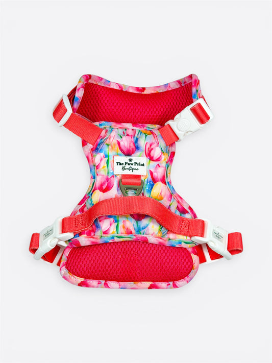 The Tulip Field Adventure Paws Harness