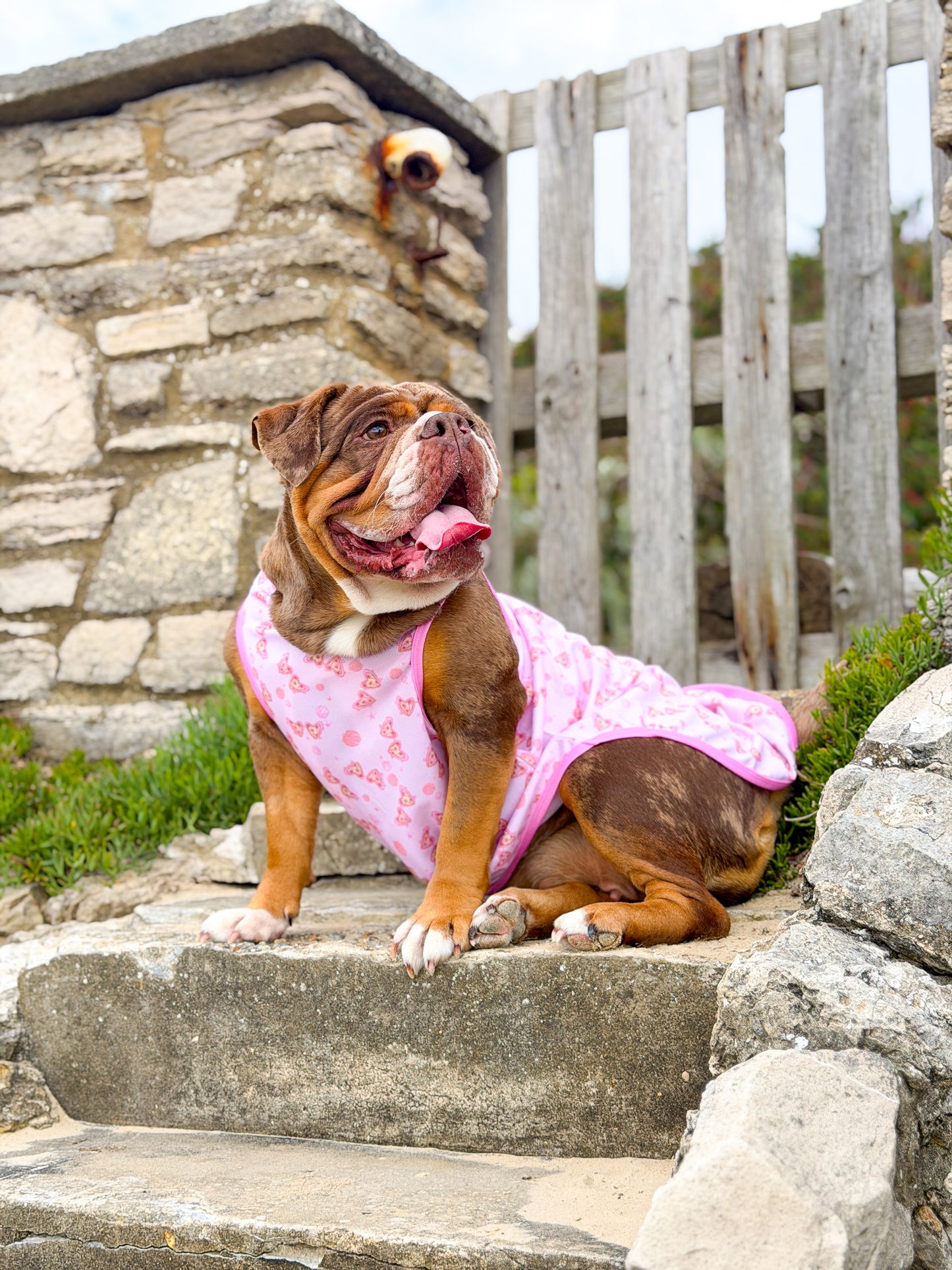 Pink Sunglasses Cooling Vest