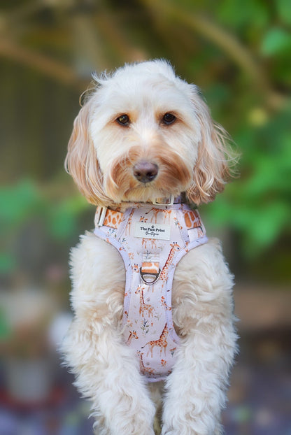 The Graceful Giraffe Adventure Paws Harness