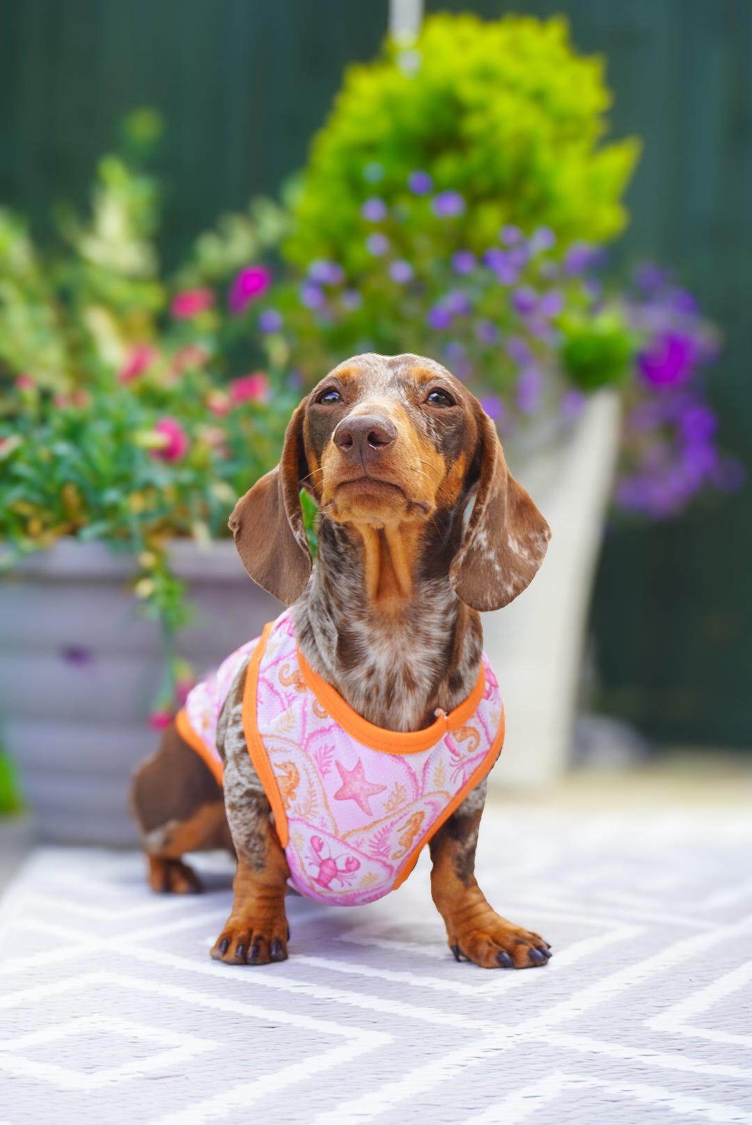 Under the Sea Cooling Vest