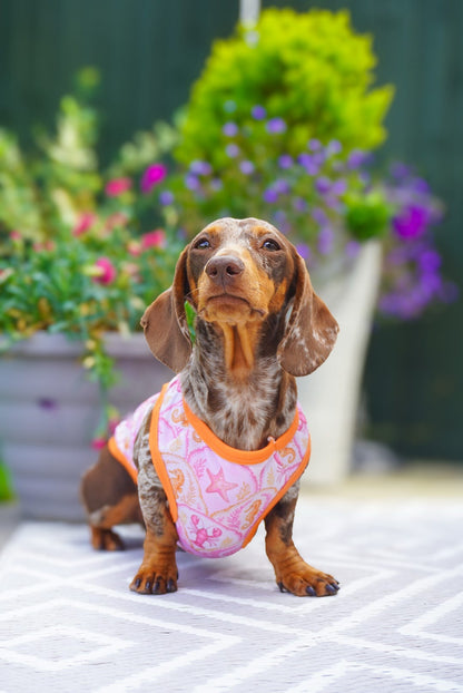 Under the Sea Cooling Vest
