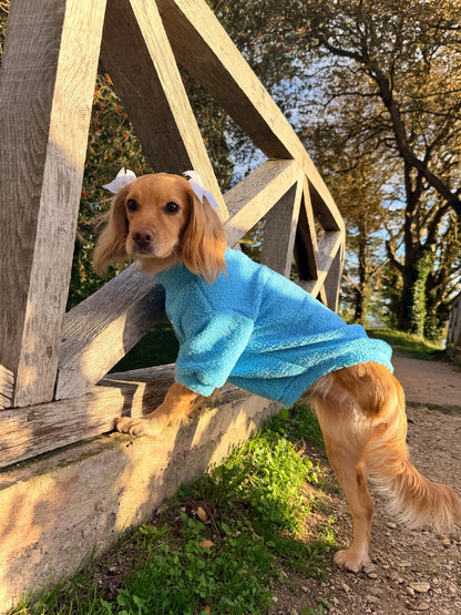 Teddy Fleece - Aqua