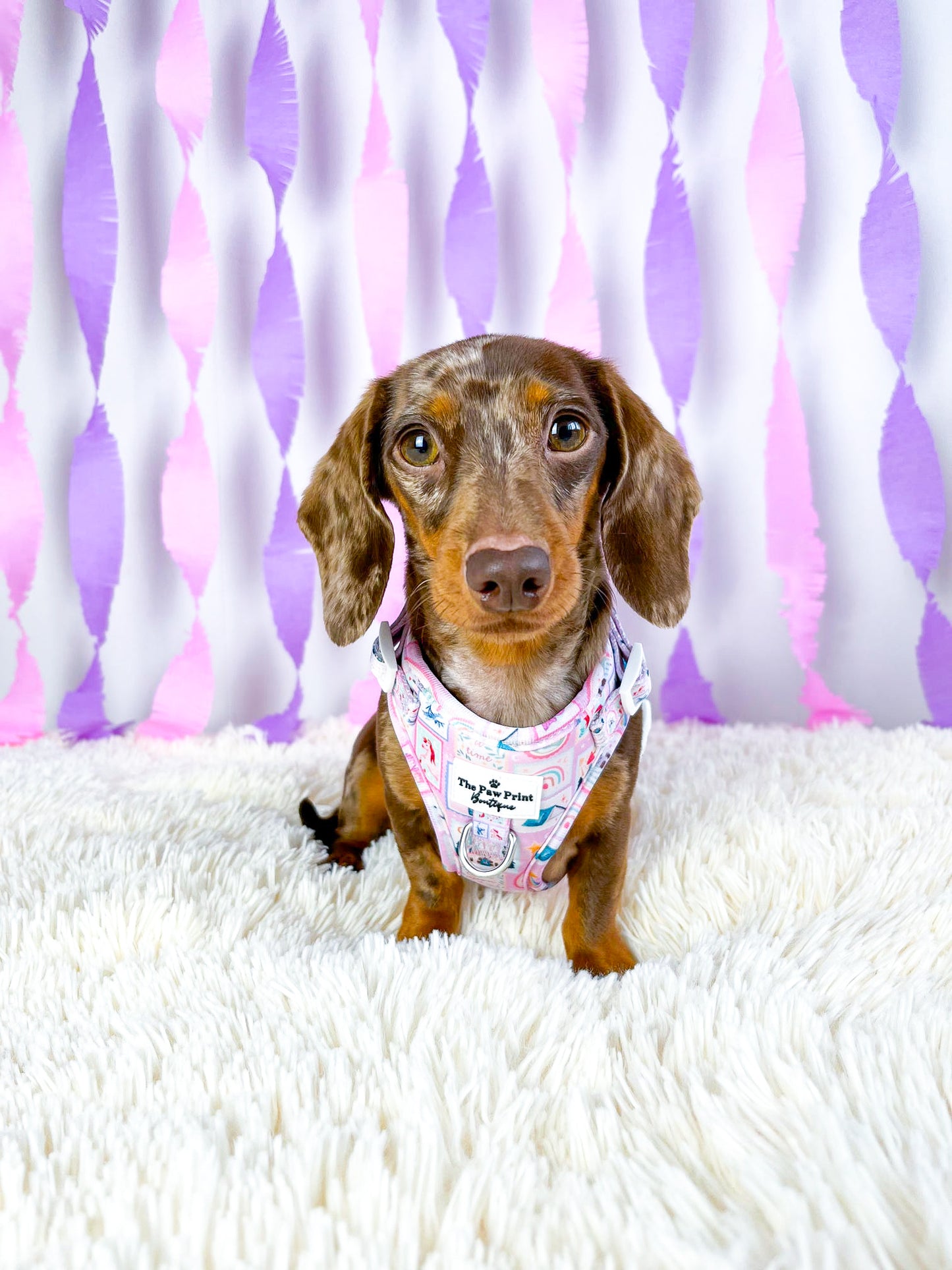The Once Upon a Pup Adjustable Harness
