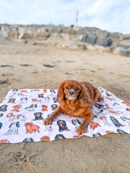 The Cavalier Dog Towel