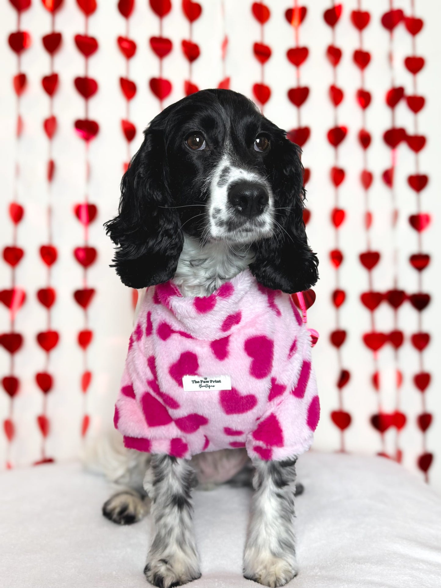The Love Hearts Fluffy & Fabulous Fleece