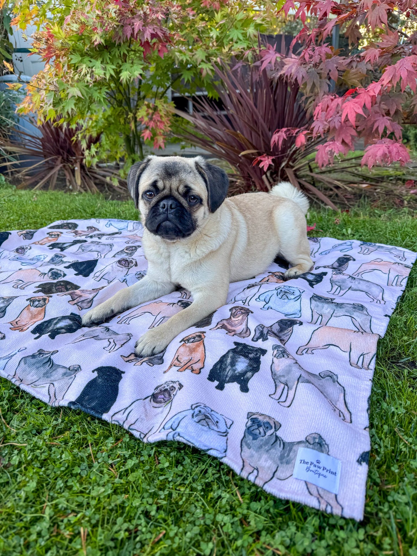 The Pug Dog Towel