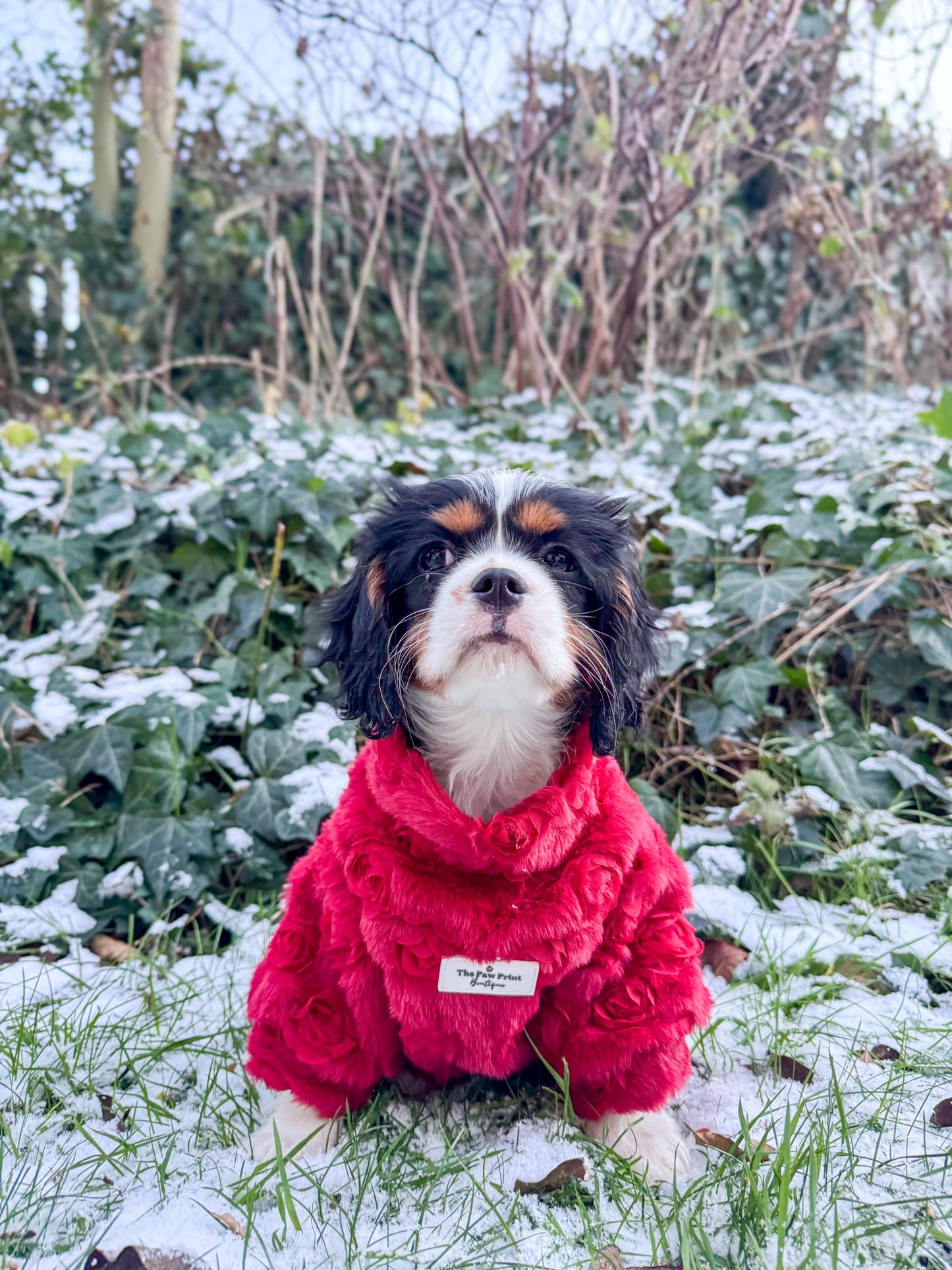 The Roses Fleece - Red