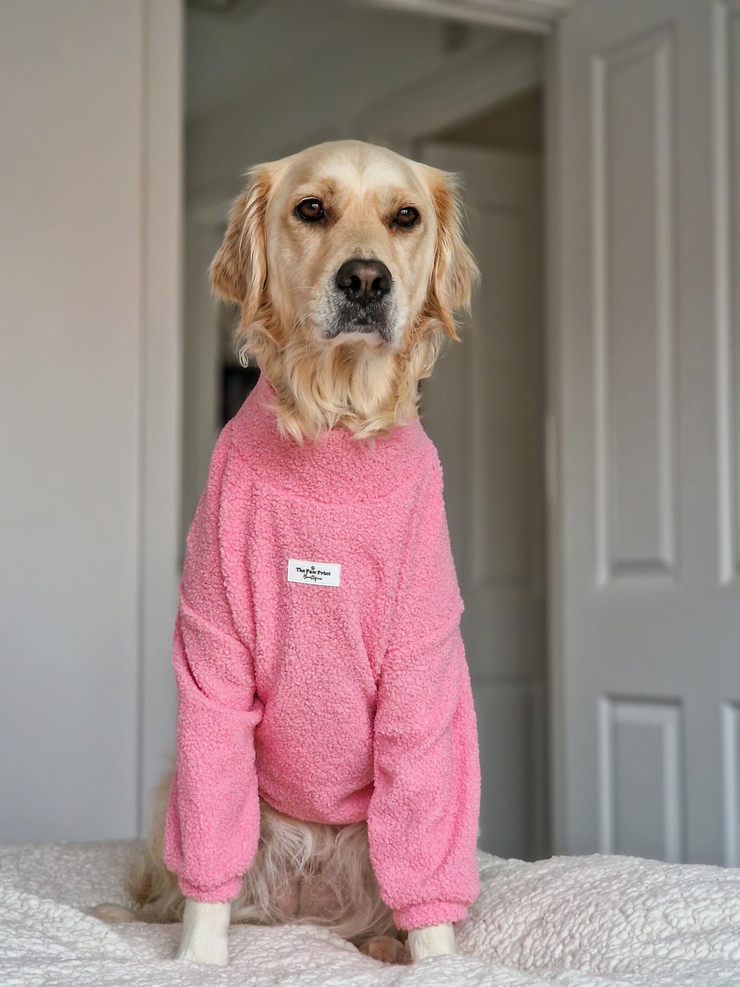 Teddy Fleece - Candy Floss