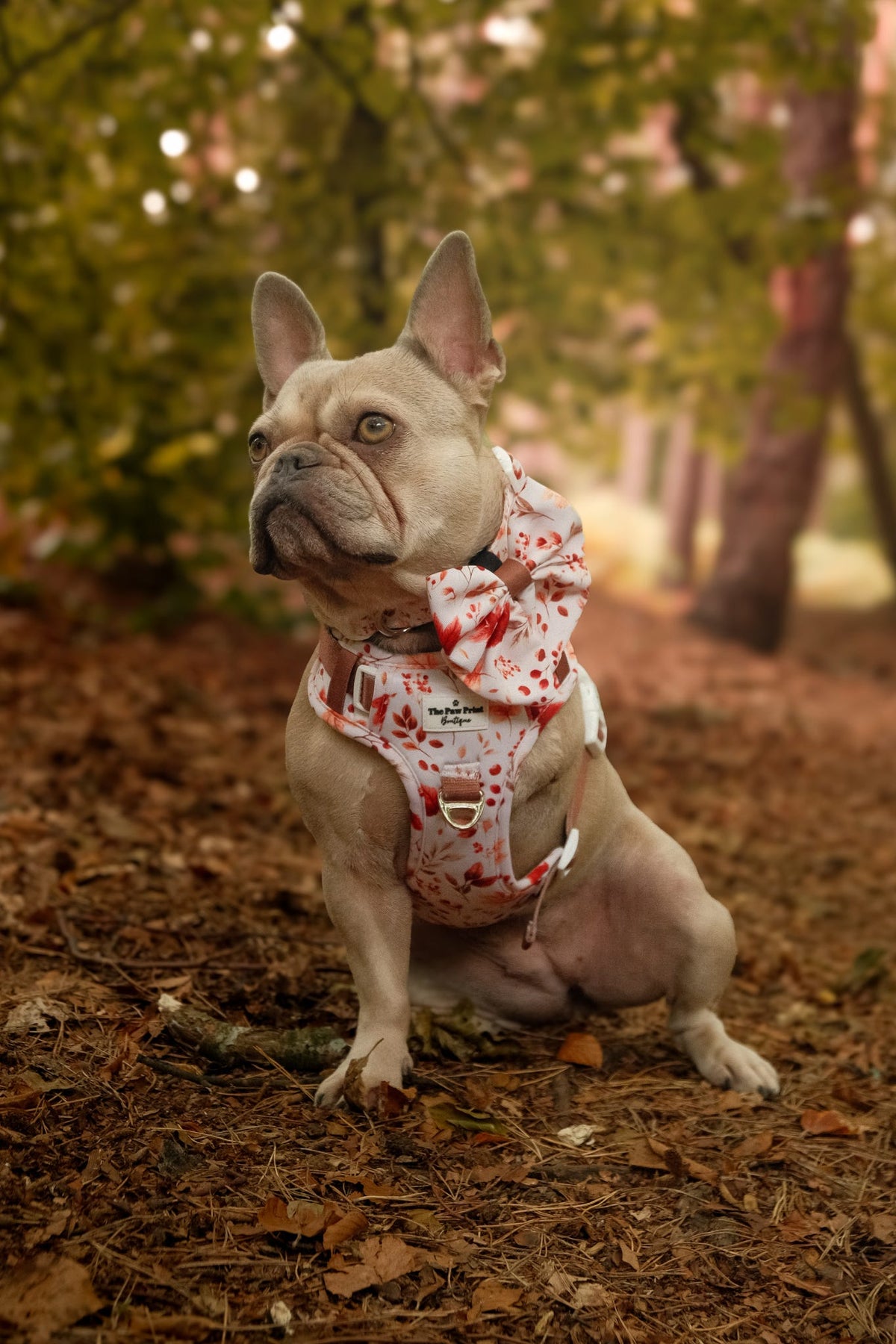 Maple Meadows Bow Tie