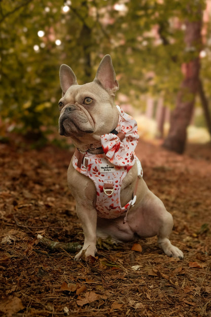Maple Meadows Bow Tie