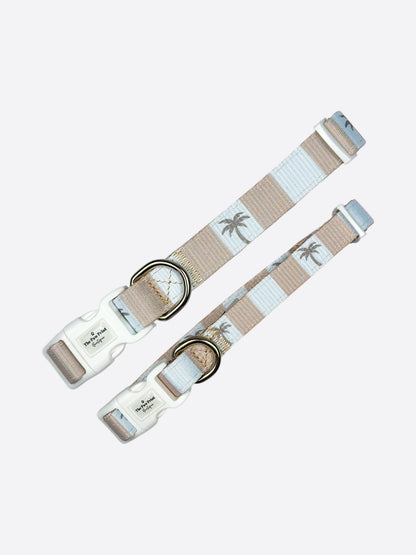 Palm Springs Collar