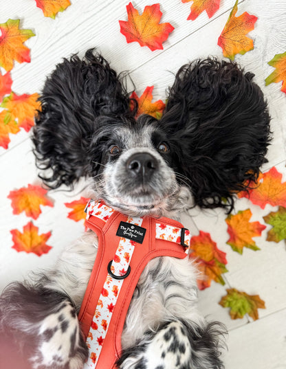 The UnbeLEAFable Adventure Paws Harness (Tough)