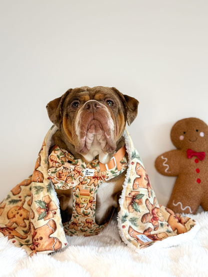 Gingerbread Grove Adventure Paws Harness