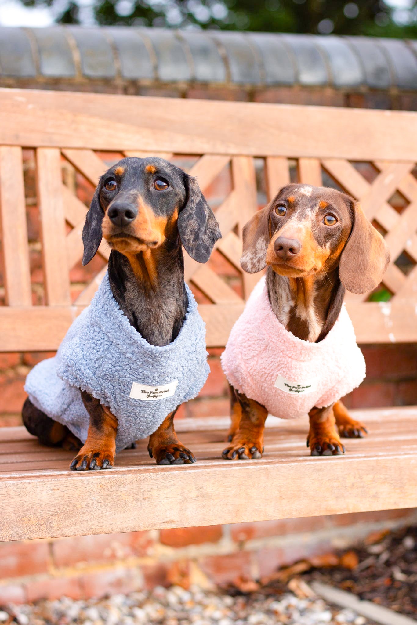 The Baby Pink Teddy Fleece