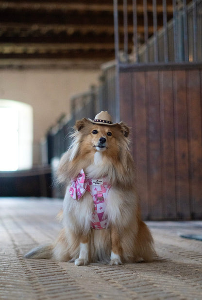 Cowgirl Cutie Adventure Paws Harness