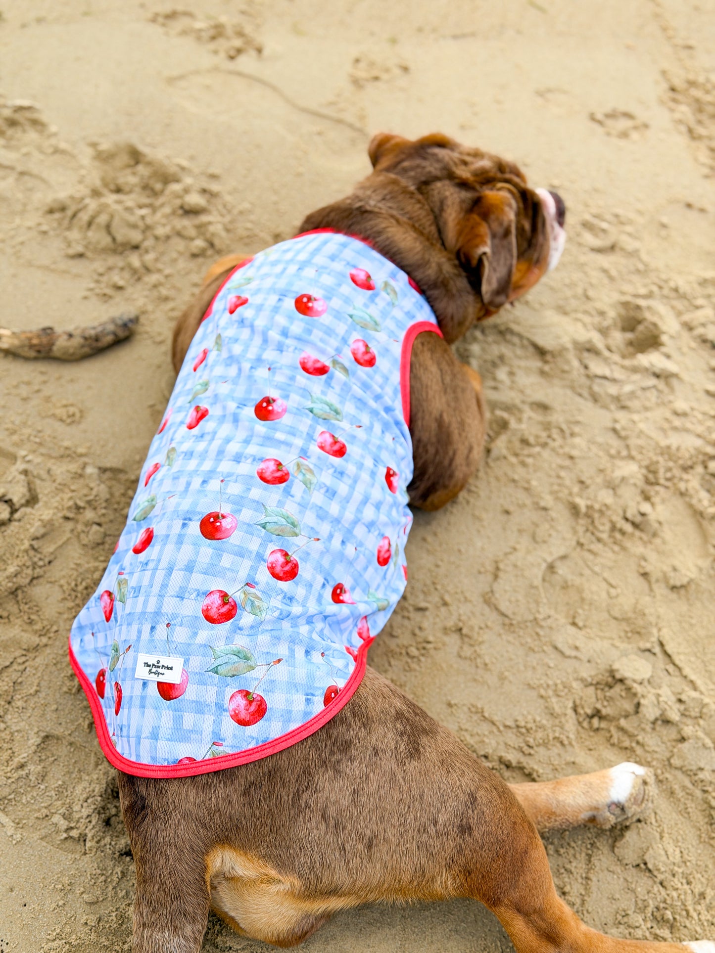 The Cherry Gingham Cooling Vest