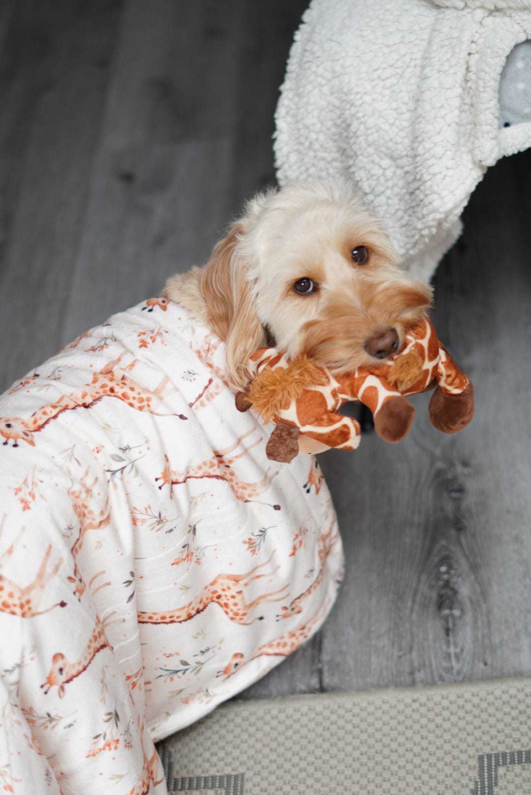 The Graceful Giraffe Dog Blanket