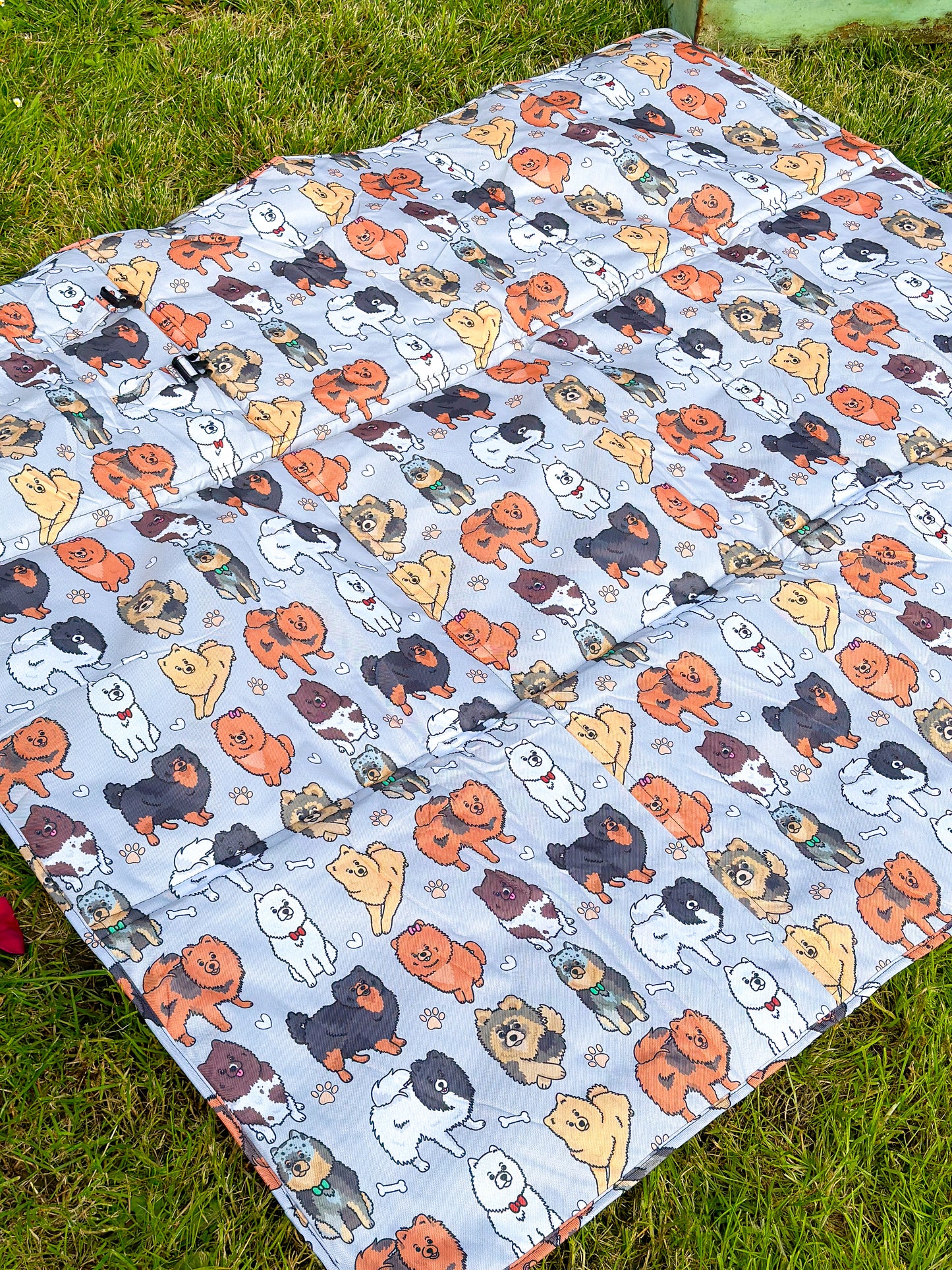 The Pomeranian Picnic Mat