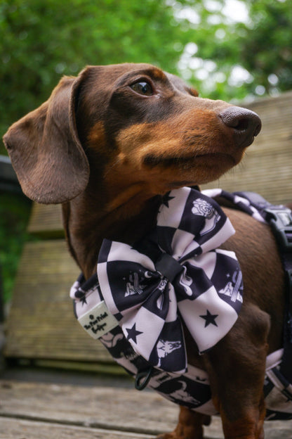 The Wild West Bow Tie