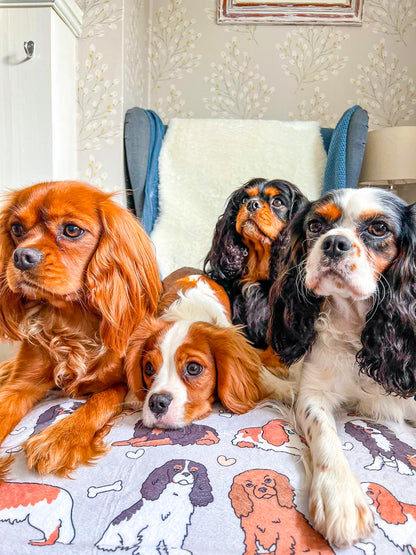 The Cavalier Dog Blanket - Grey