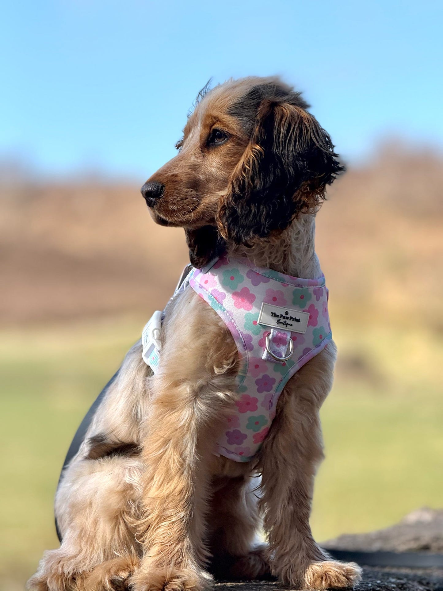 The Flower Power Adjustable Harness