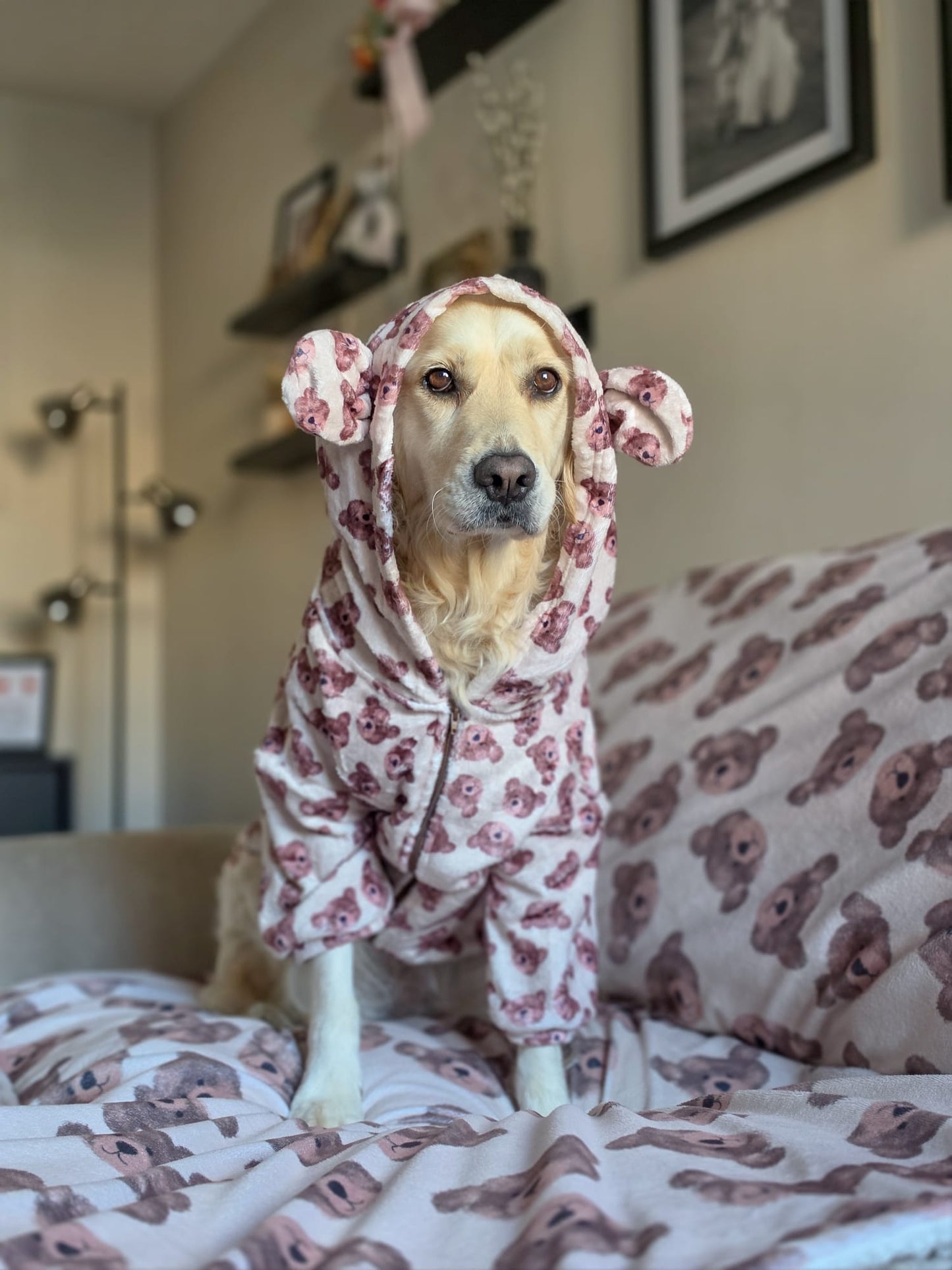 The Little Bear Cub Snuggle Fleece (With Hood & Ears)
