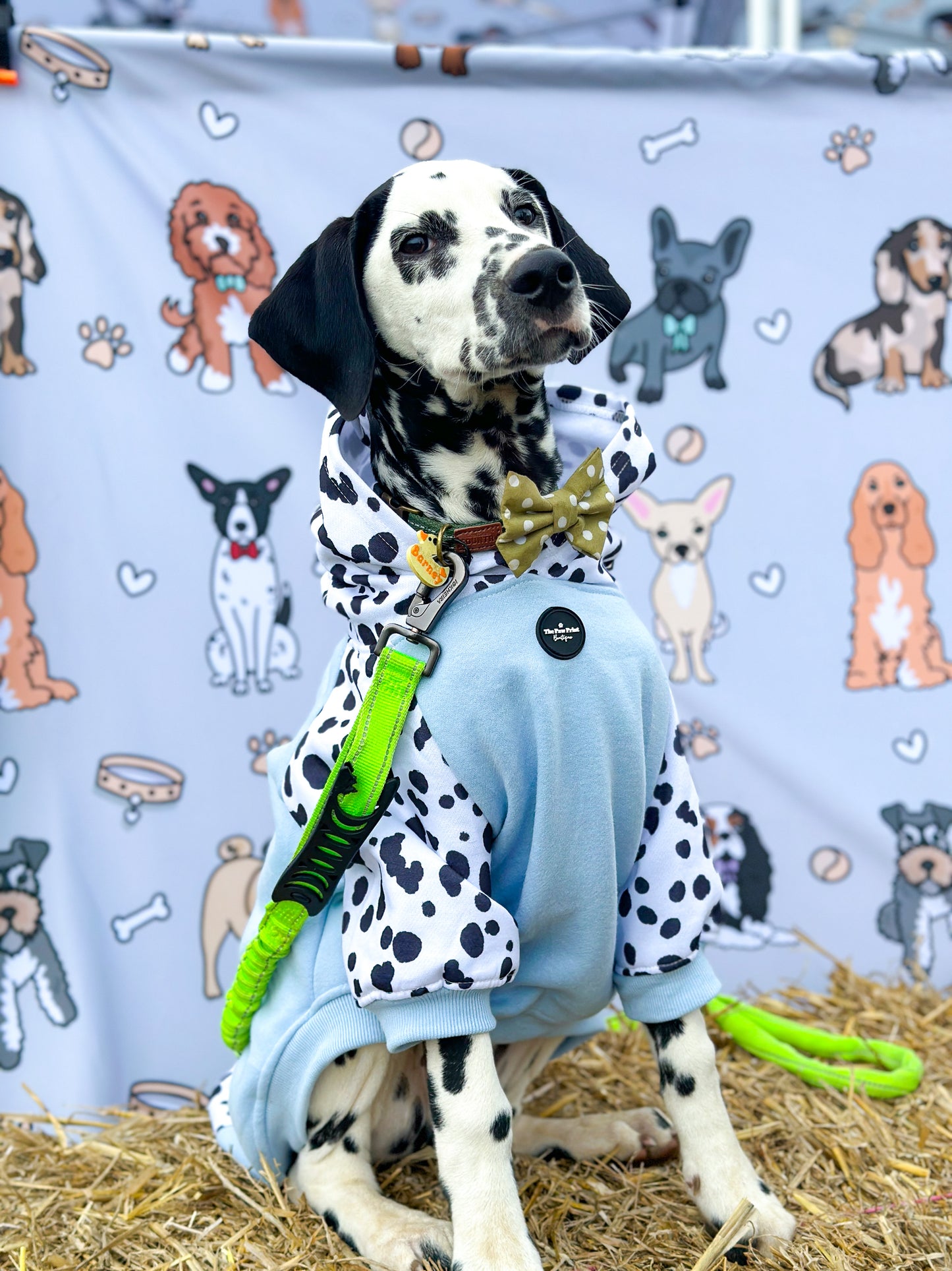 The Spots & Dots Dog Hoodie (Baby Blue)