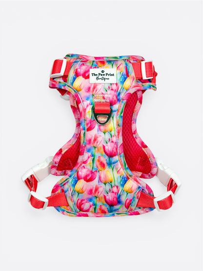 The Tulip Field Adventure Paws Harness