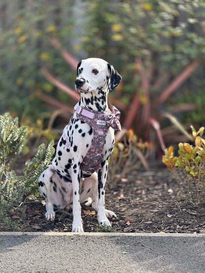 Woodland Wilderness Adventure Paws Harness
