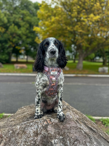 Woodland Wilderness Adventure Paws Harness