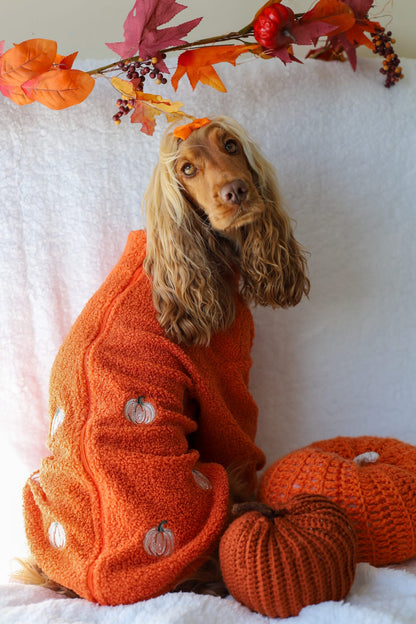 The Embroidered Pumpkins Teddy Fleece