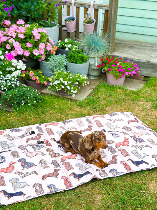 The Dachshund Travel Mat