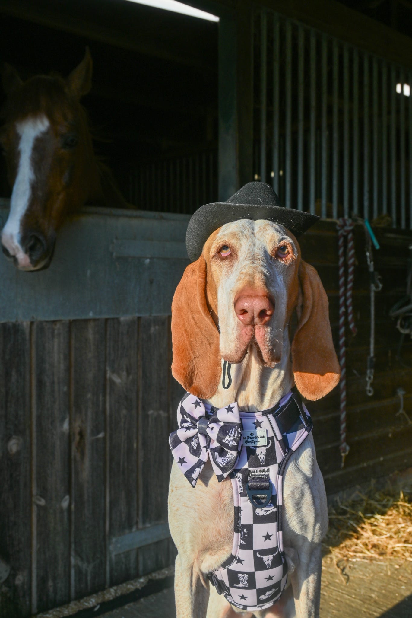The Wild West Bow Tie
