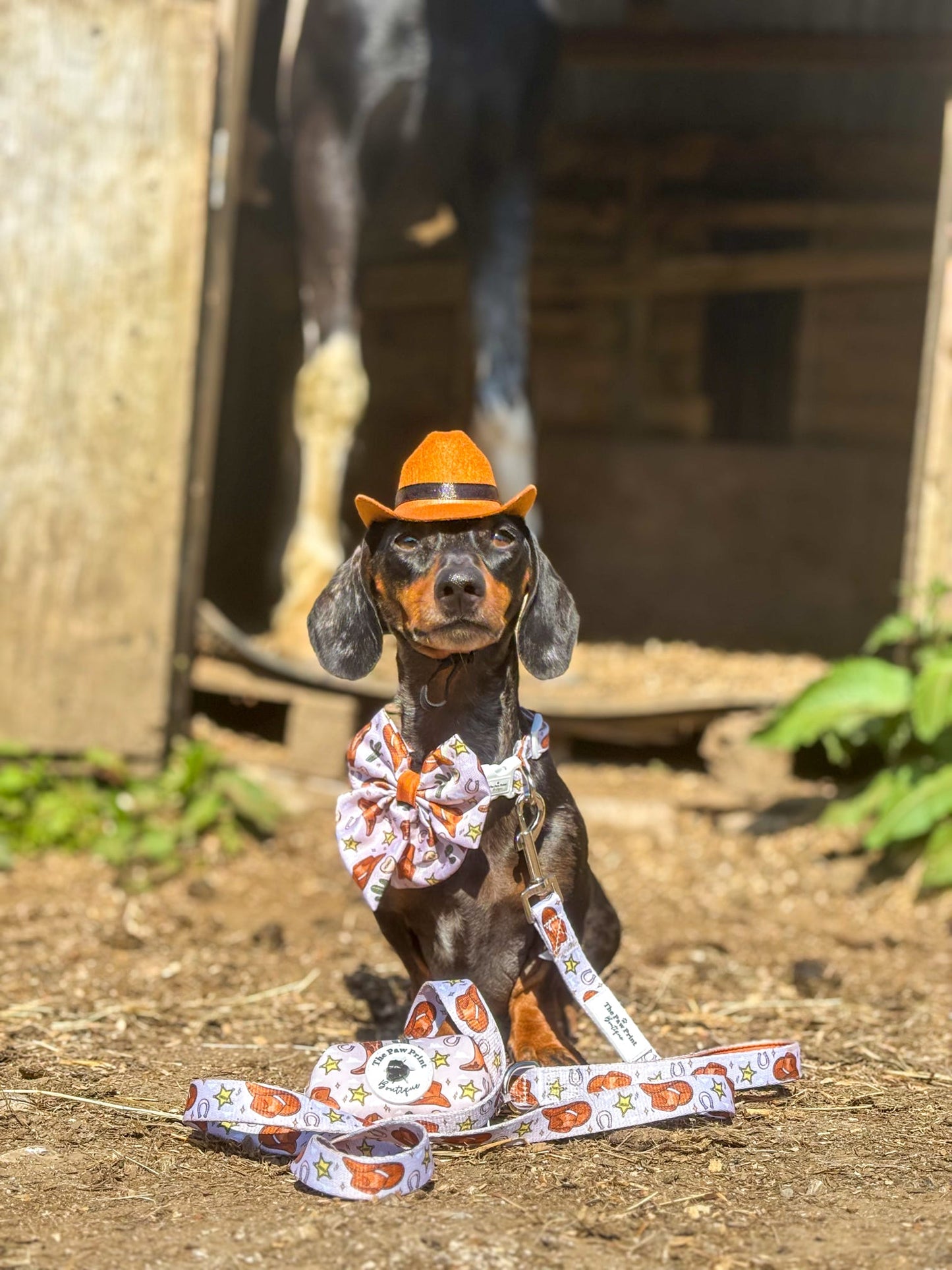 The Howdy Pawtner Bow Tie