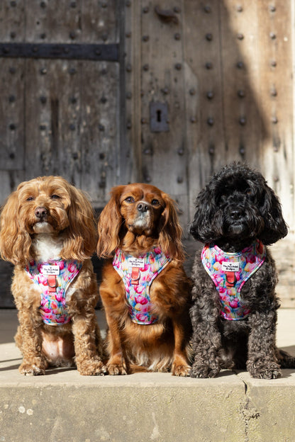 The Tulip Field Adjustable Harness