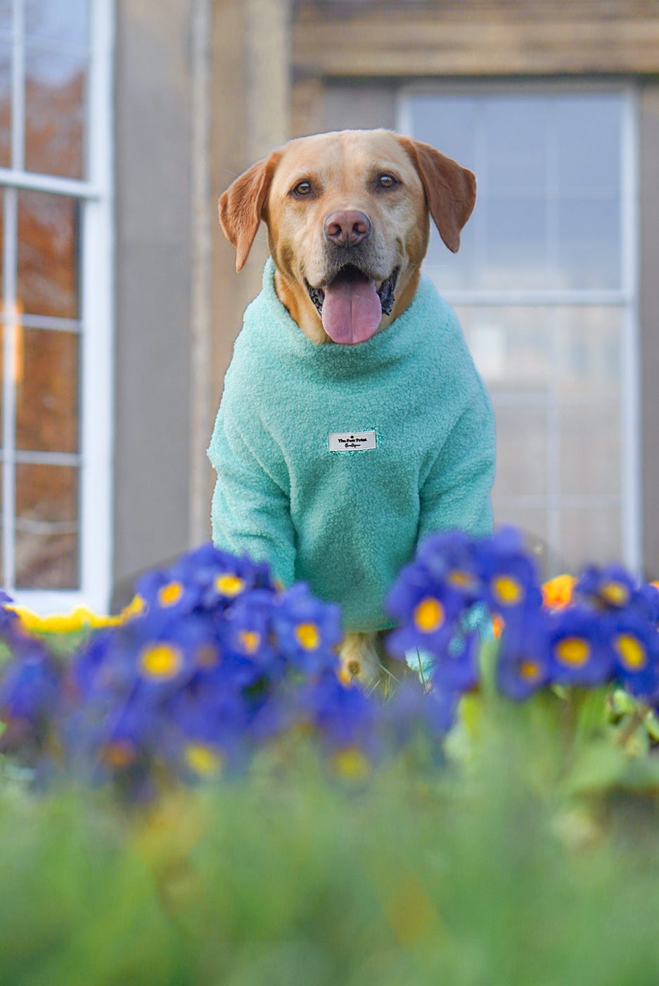 The Mint Teddy Fleece