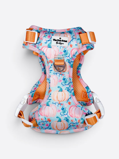 Pablos Pumpkins Adventure Paws Harness
