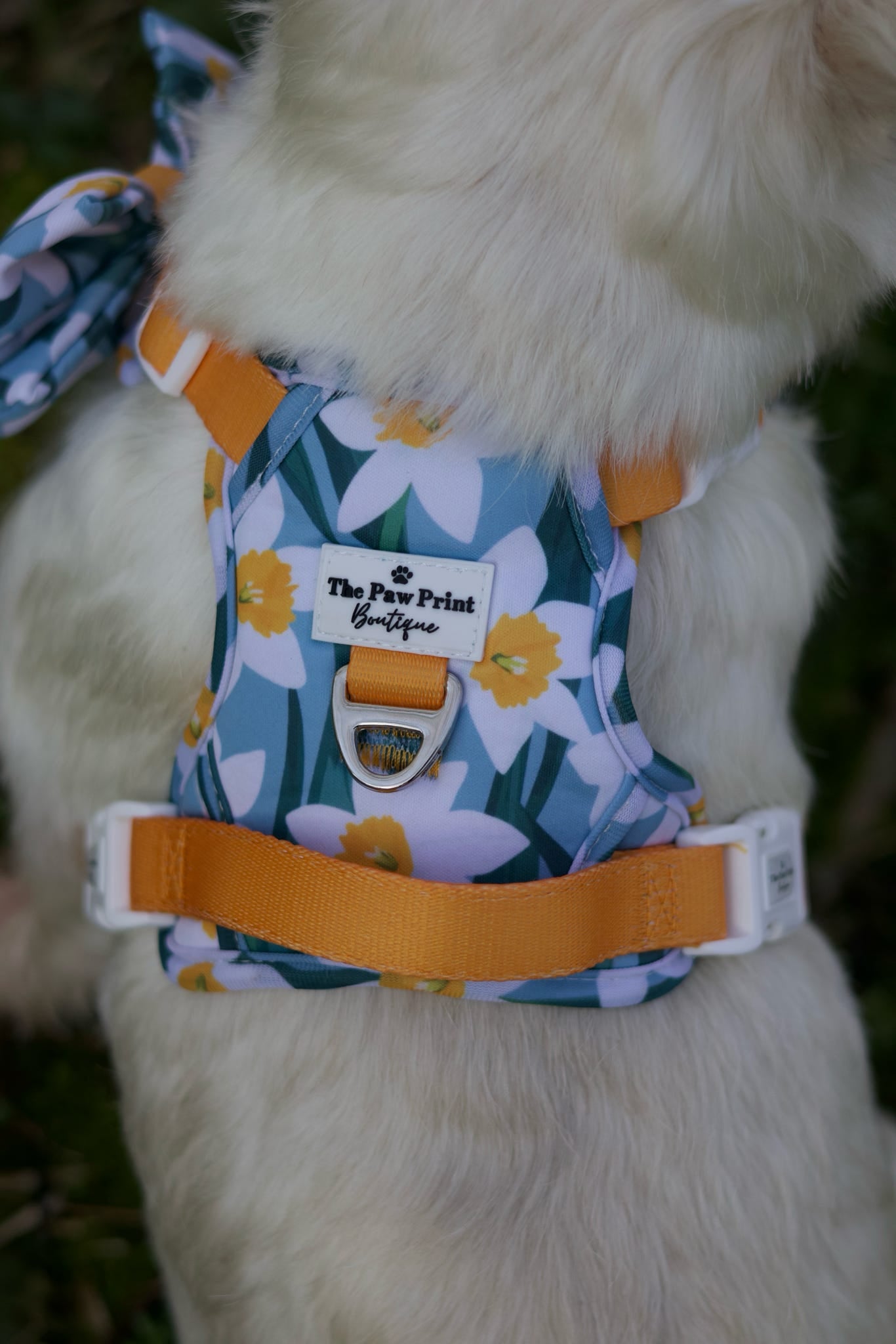 Daffodil Daze Adventure Paws Harness