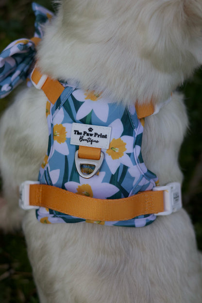 Daffodil Daze Adventure Paws Harness