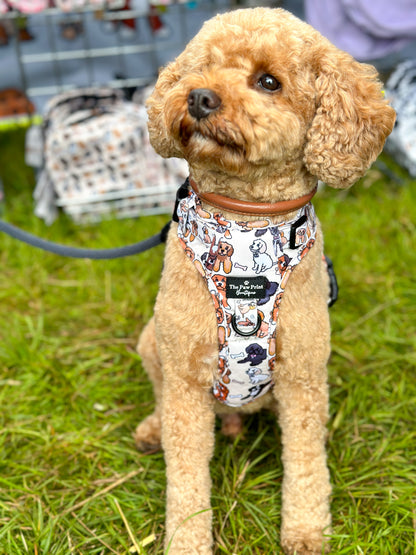 The Poodle/Doodle Adventure Paws Harness