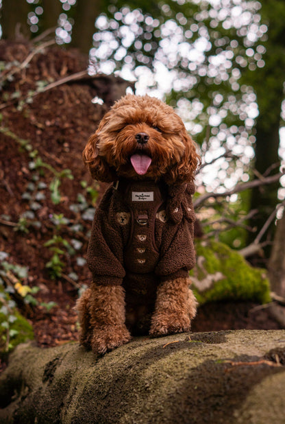 The Embroidered Little Bear Cub Adventure Paws Harness
