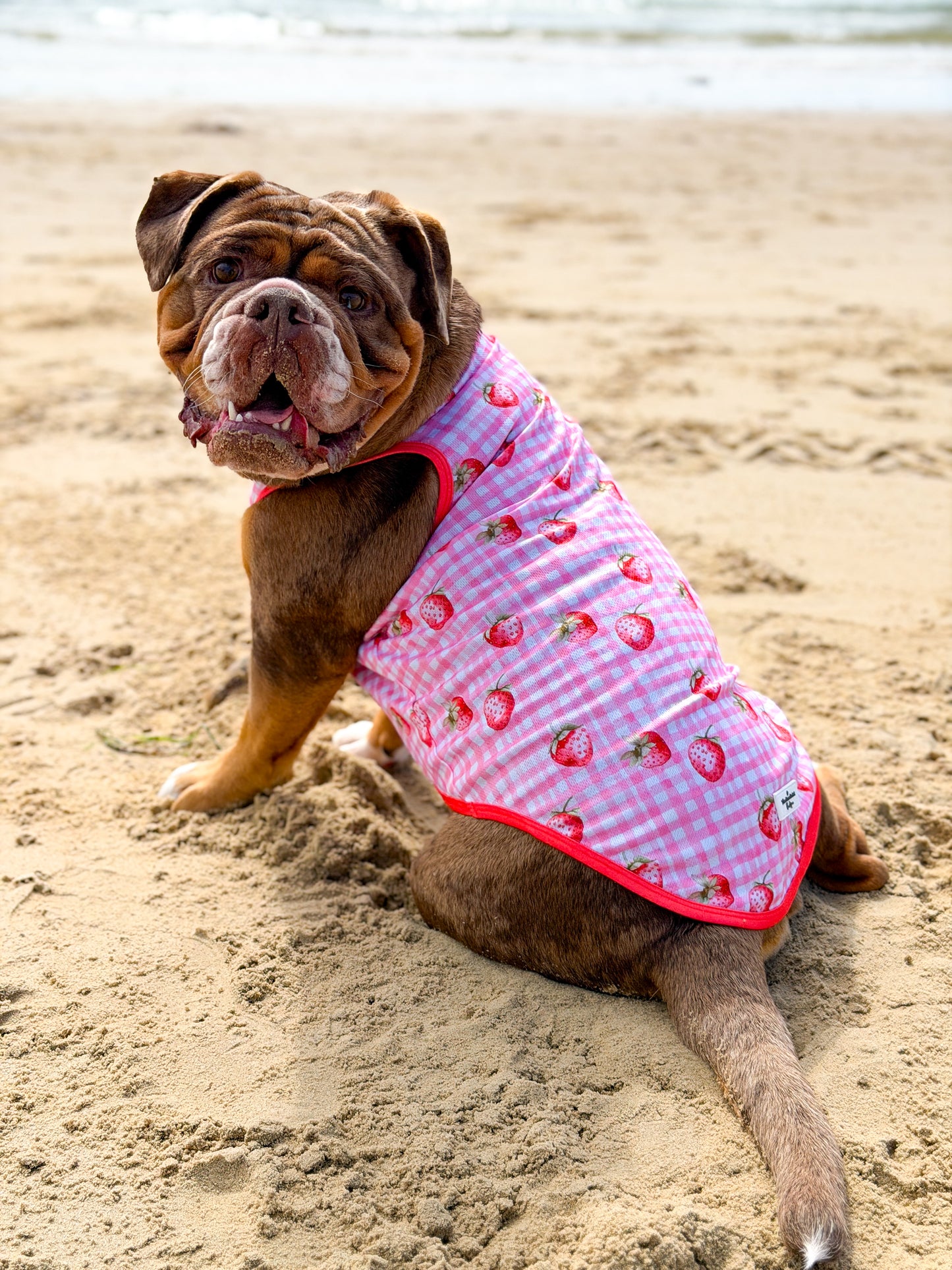 The Strawberry Gingham Cooling Vest