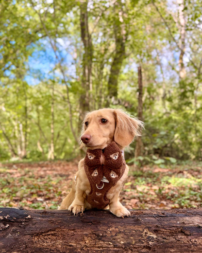 The Embroidered Little Bear Cub Adjustable Harness